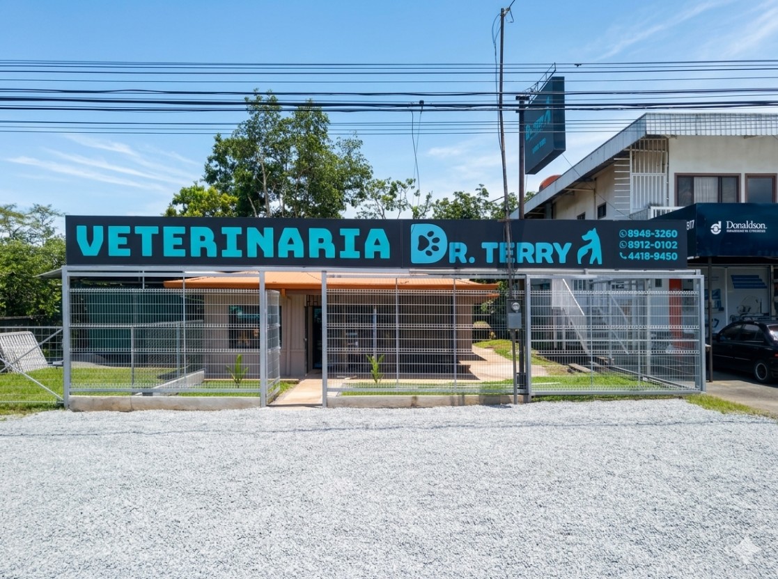Recepción de DR. TERRY VETERINARIA